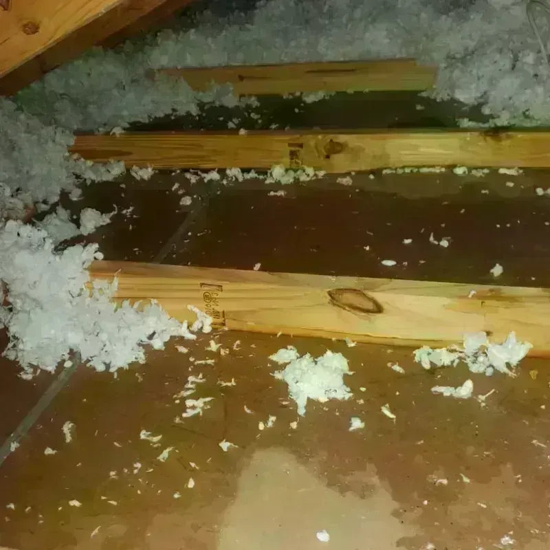 Attic Water Damage in Talihina, OK